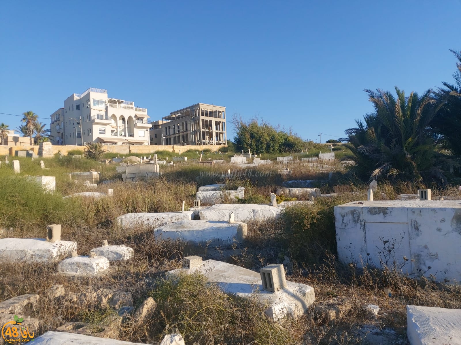 WhatsApp Image 2020-08-17 at 7.30.14 PM (1).jpeg.jpg.jpg